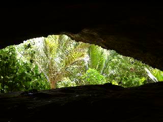 in der Punakaiki Cavern